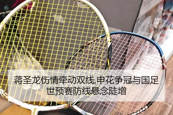jiang-sheng-long-shang-qing-qian-dong-shuang-xian-shen-hua-zheng-guan-yu-guo-zu-shi-yu-sai-fang-xian-xuan-nian-dou-zeng-2-359.jpg